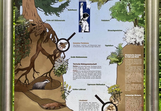 22-06-06 14-12-14 1070